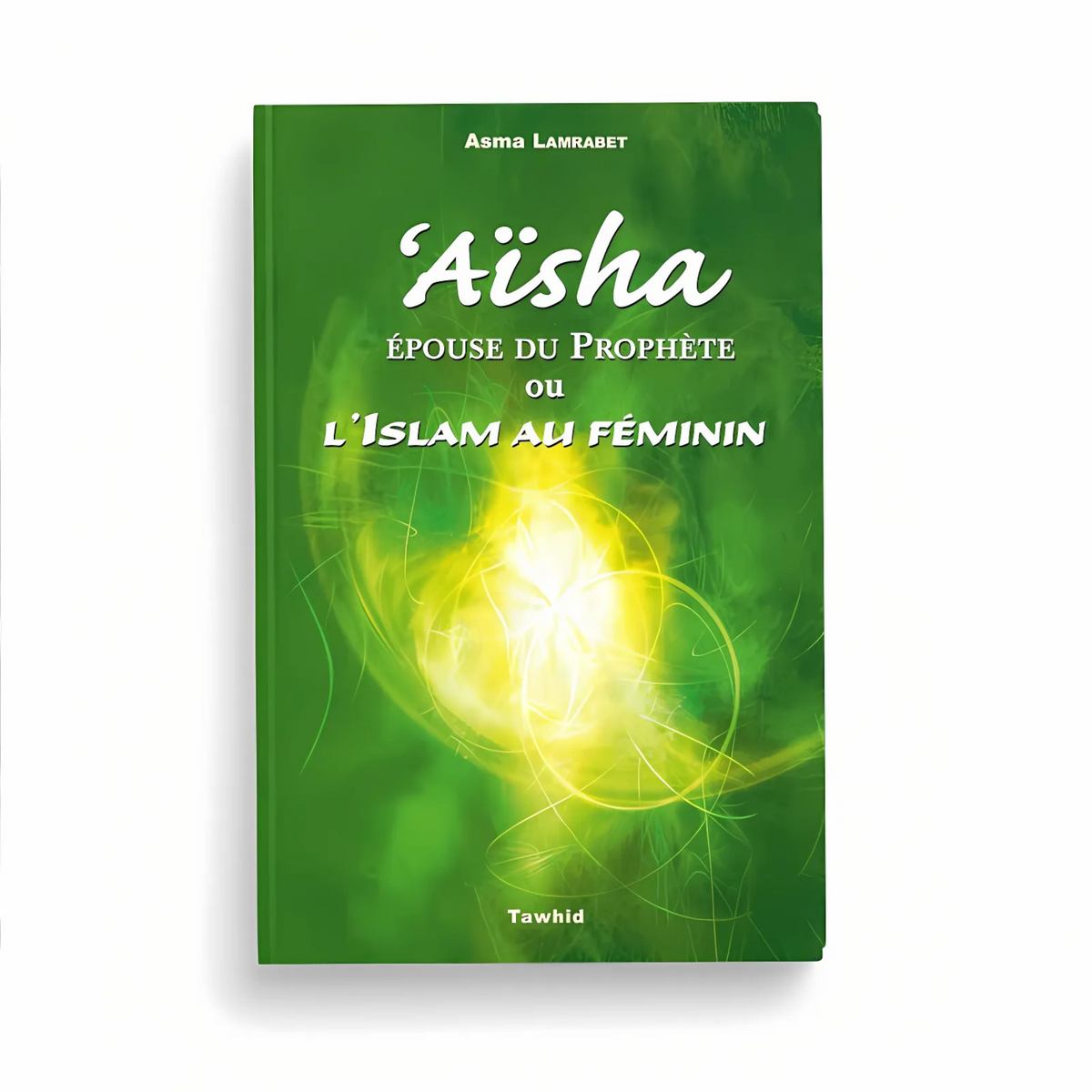 Aïsha, Épouse du Prophète ou l’Islam au Féminin